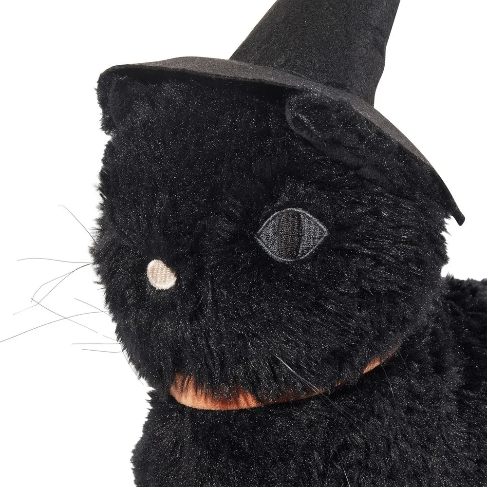 My Texas House‎ Witch Black Cat Halloween Decorative Pillow